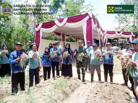 Keberhasilan Panen Raya Bawang Merah di Lemahbang, Karangasem